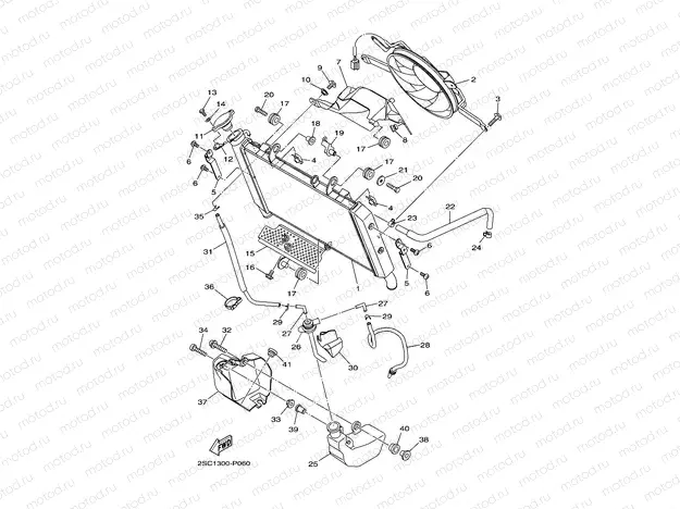 RADIATOR & HOSE