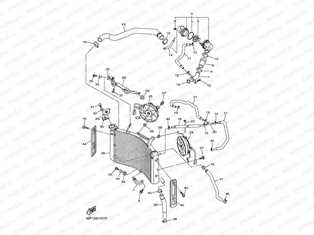RADIATOR & HOSE