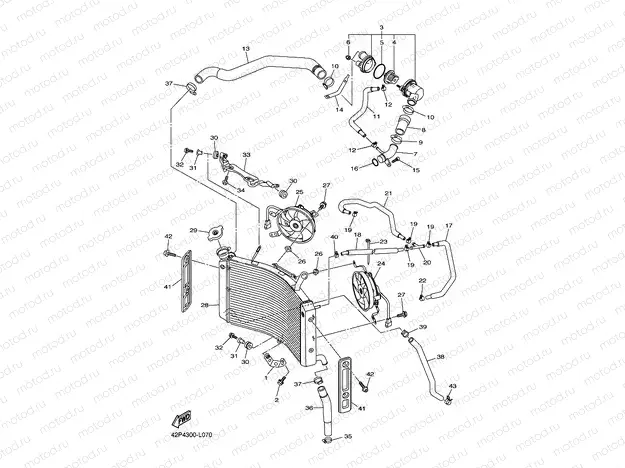 RADIATOR & HOSE