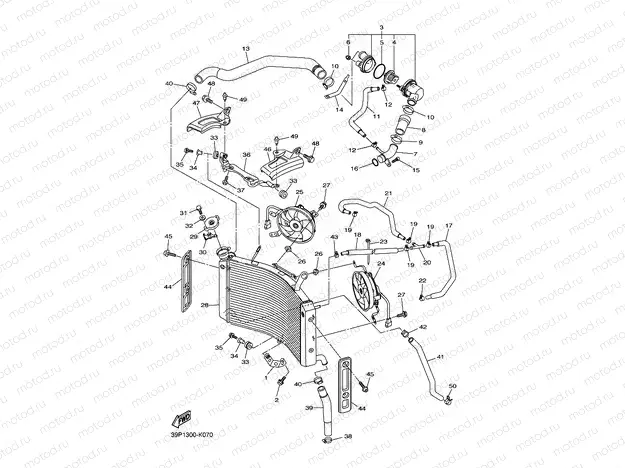 RADIATOR & HOSE
