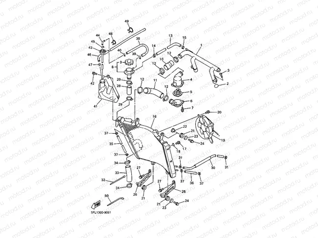 RADIATOR & HOSE