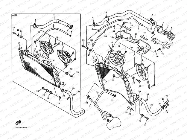 Radiator. Hose