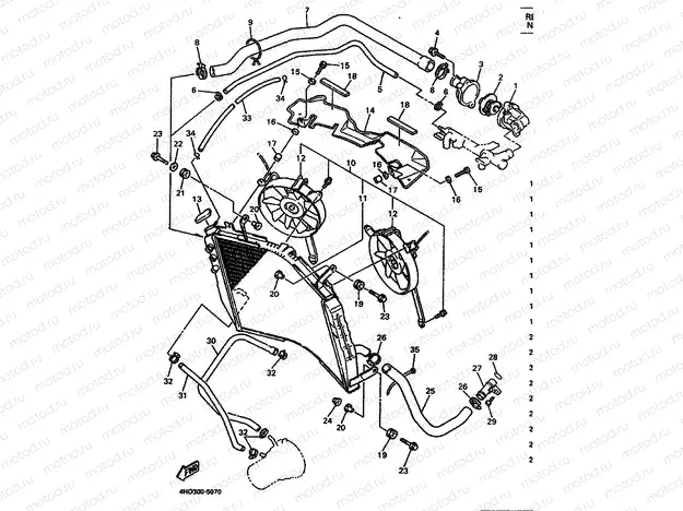 RADIATOR & HOSE