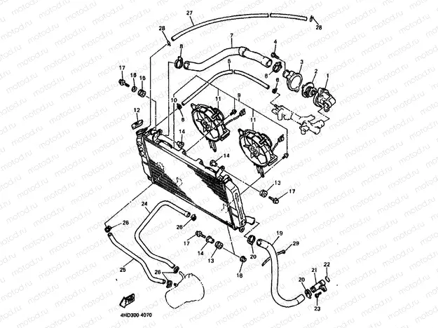 RADIATOR & HOSE