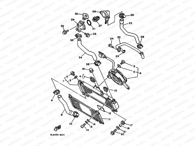 RADIATOR & HOSE