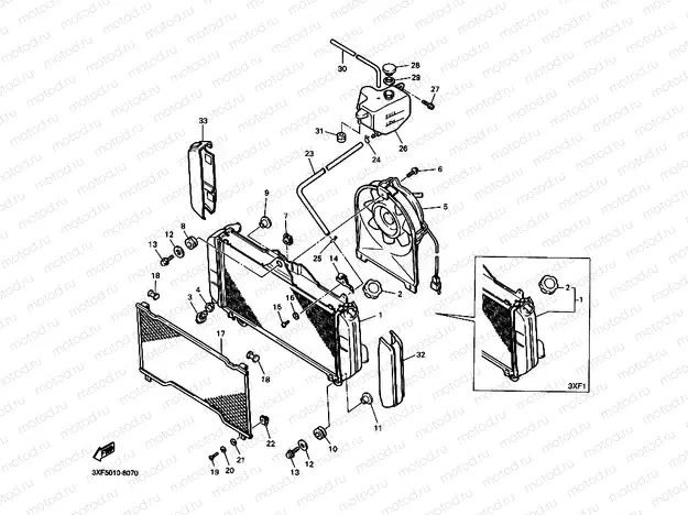 Radiator. Hose