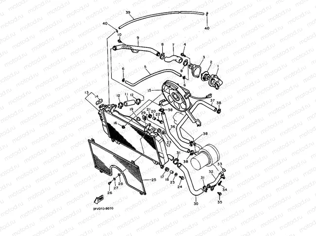 RADIATOR & HOSE