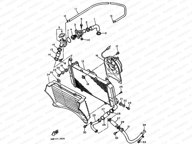 RADIATOR & HOSE