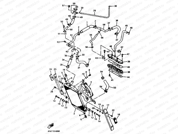 RADIATOR & HOSE