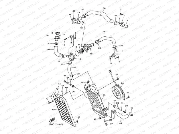 RADIATOR & HOSE