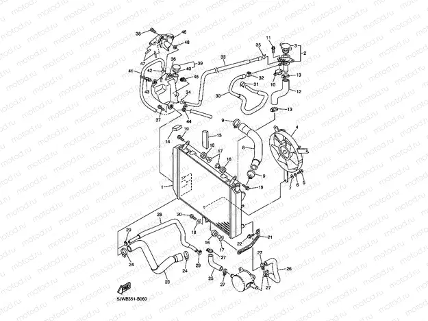RADIATOR & HOSE
