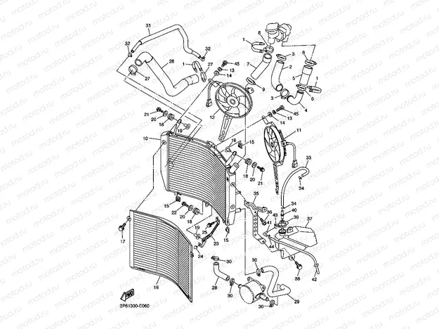 RADIATOR & HOSE
