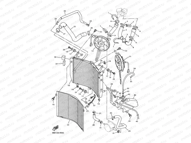 RADIATOR & HOSE