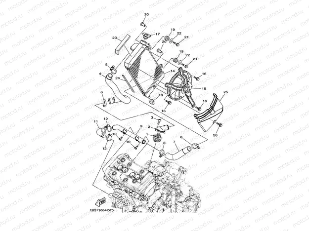 RADIATOR & HOSE