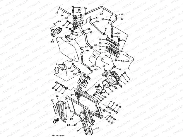 RADIATOR & HOSE