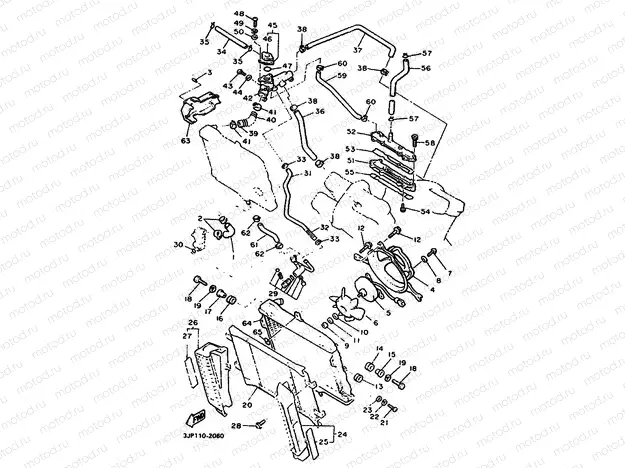 RADIATOR & HOSE