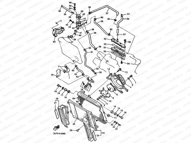 RADIATOR & HOSE