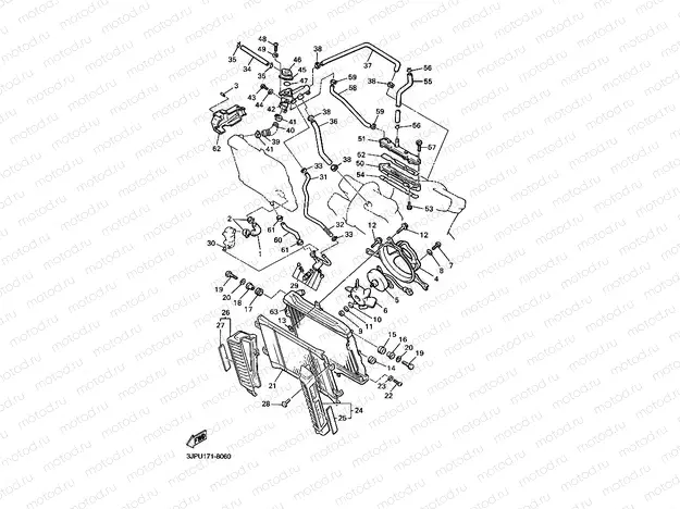 RADIATOR & HOSE