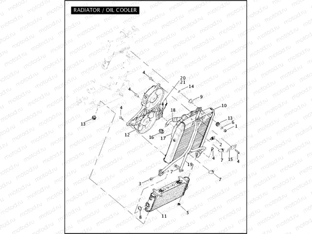 RADIATOR / OIL COOLER