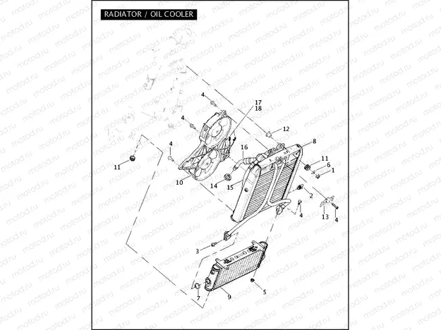 RADIATOR / OIL COOLER