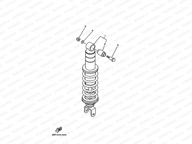 Rear am. Suspension