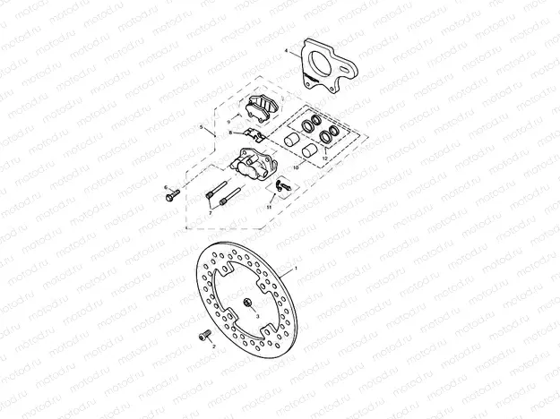 Rear Brake Caliper & Disc