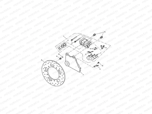 Rear Brake Caliper & Disc