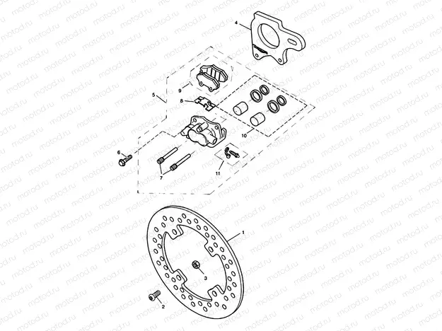 Rear Brake & Disc