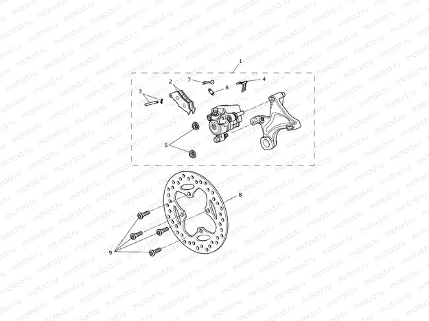 Rear Brake & Disc
