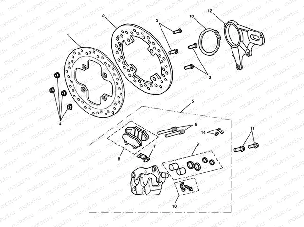 Rear Brake & Disc