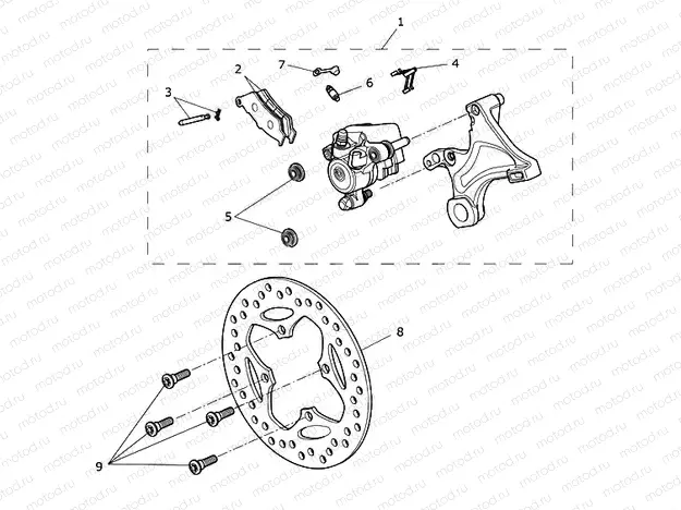 Rear Brake & Disc
