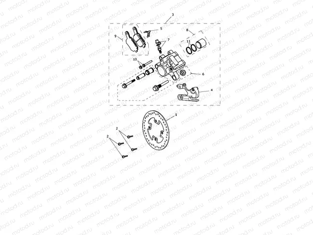 Rear Brake & Disc