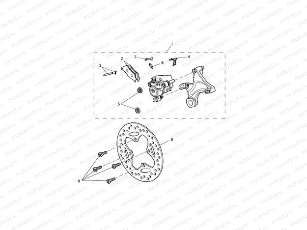Rear Brake & Disc