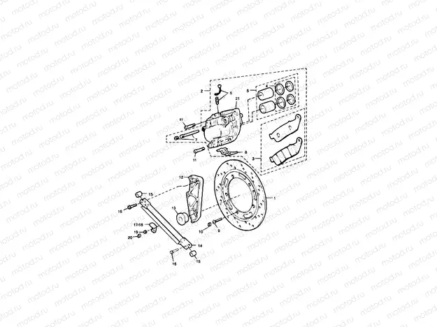 Rear Brake Disc and Caliper