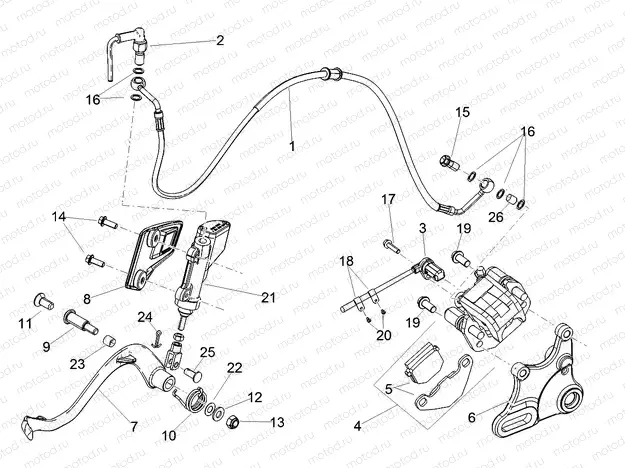 Rear brake system