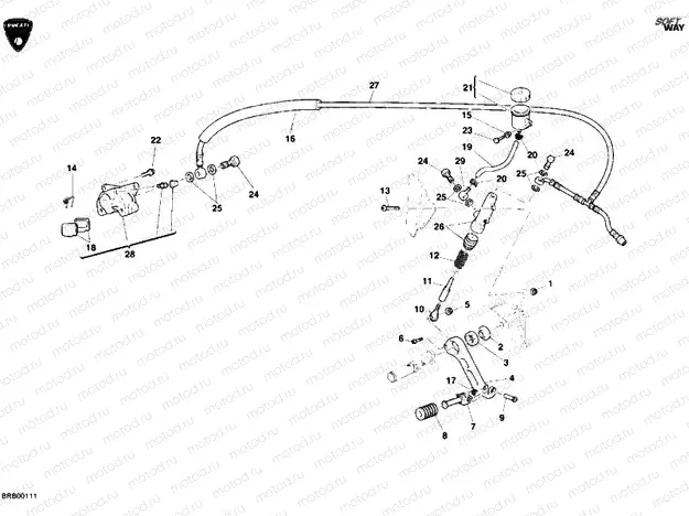 REAR BRAKE SYSTEM » BRAKING SYSTEM