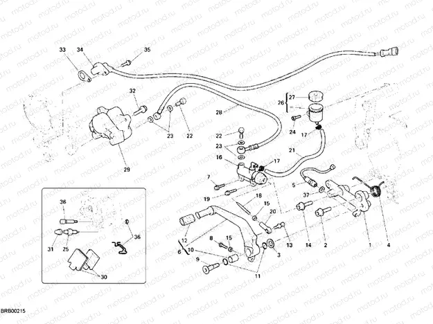 REAR BRAKE SYSTEM » BRAKING SYSTEM
