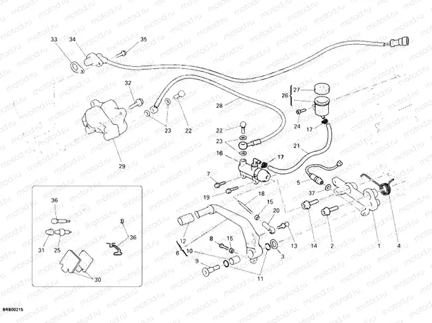 REAR BRAKE SYSTEM » BRAKING SYSTEM