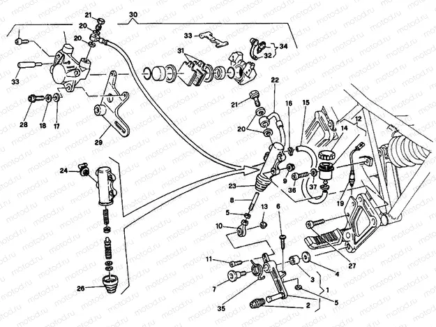 REAR BRAKE SYSTEM DM 001365 » BRAKING SYSTEM