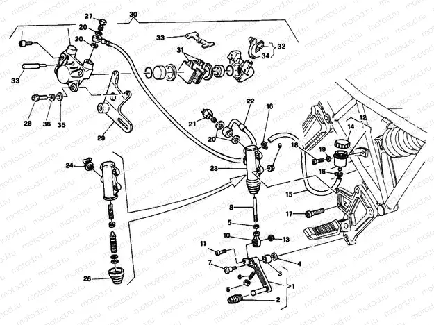 REAR BRAKE SYSTEM F.M 001364 » BRAKING SYSTEM