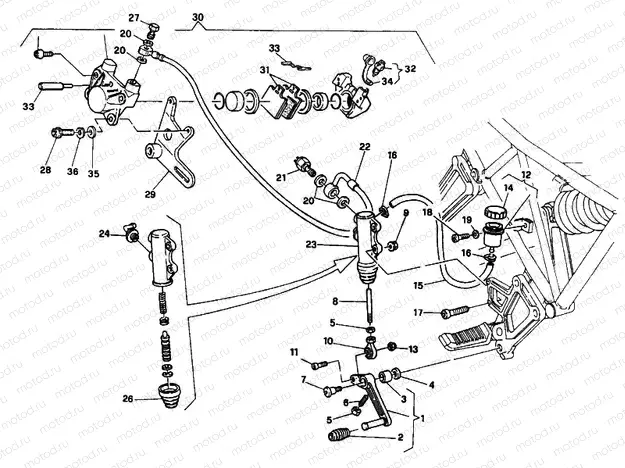 REAR BRAKE SYSTEM FM 002305 » BRAKING SYSTEM