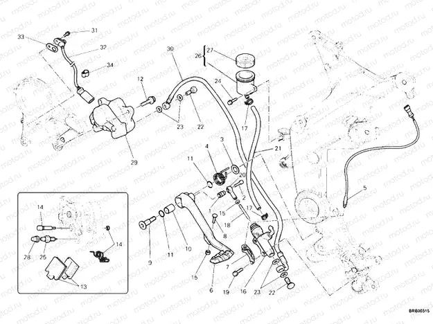 REAR BRAKING SYSTEM » BRAKING SYSTEM