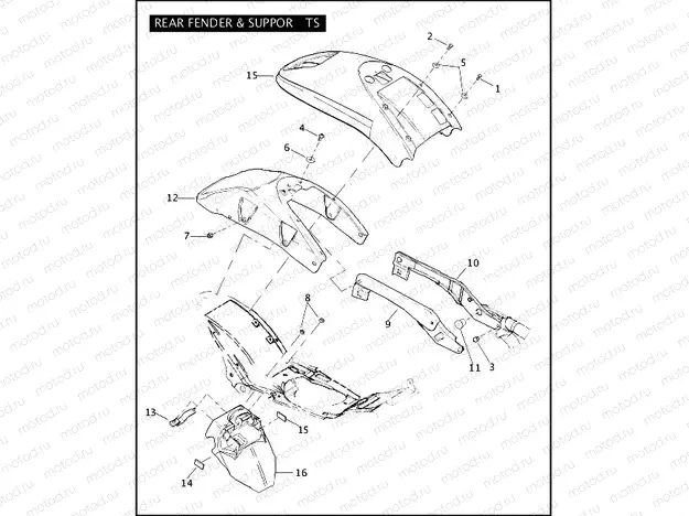 REAR FENDER & SUPPORTS