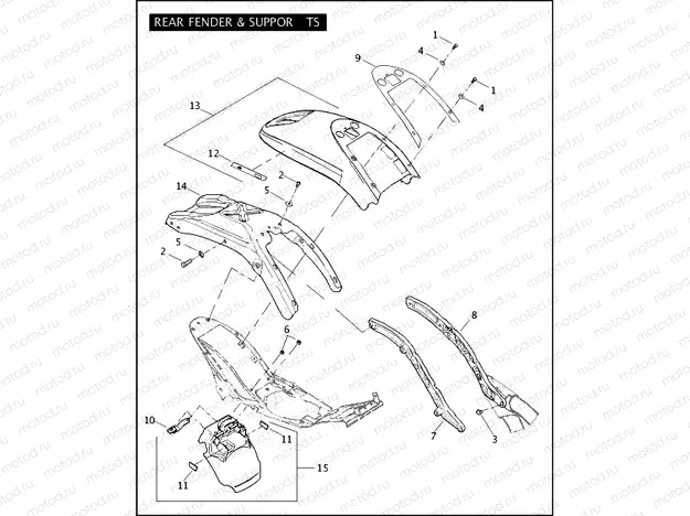 REAR FENDER & SUPPORTS