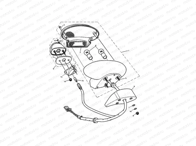 Rear Lamps