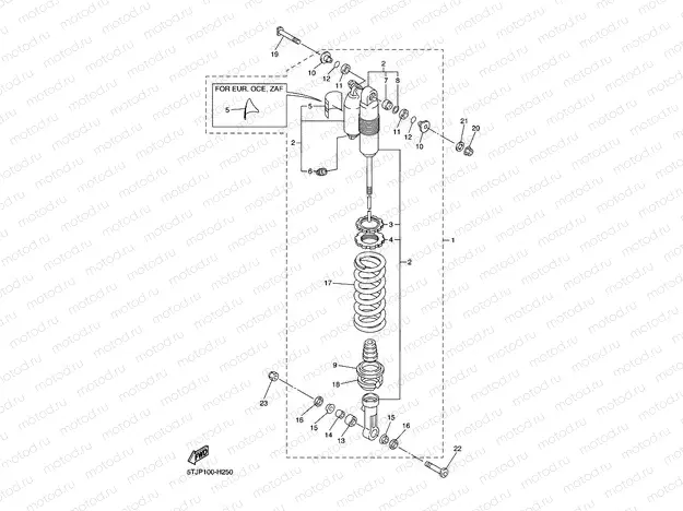 REAR SUSPENSION