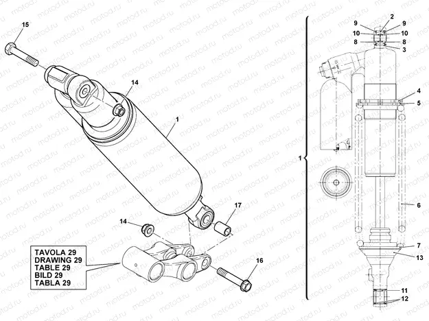 REAR SUSPENSION