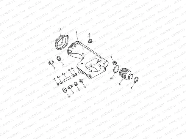Rear Swingarm