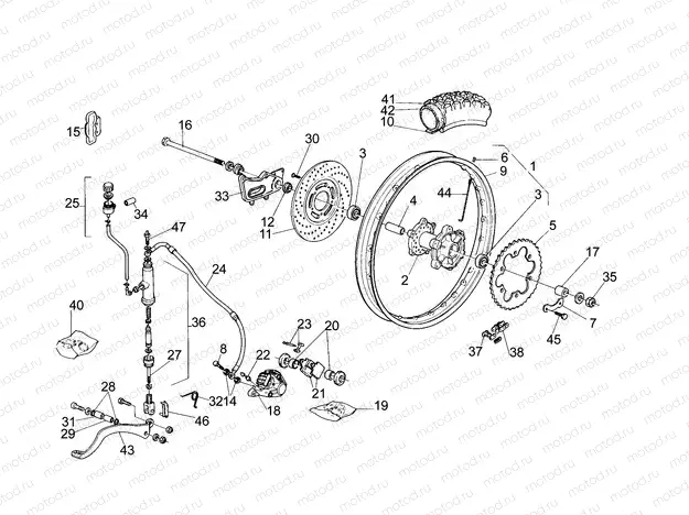 Rear wheel