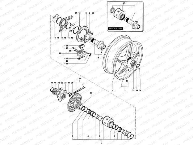 Rear Wheel Assembly